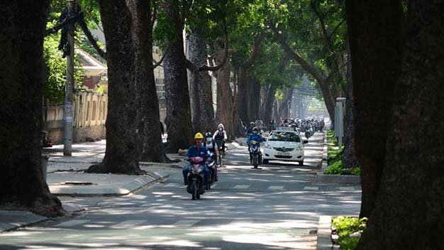 Sổ tay du lịch so tay du lich Sotaydulich Sotay Dulich Khampha Kham Pha Bui Xanh ngát hàng cây trăm tuổi Sài Gòn