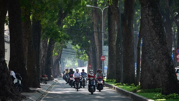 Sổ tay du lịch so tay du lich Sotaydulich Sotay Dulich Khampha Kham Pha Bui Xanh ngát hàng cây trăm tuổi Sài Gòn