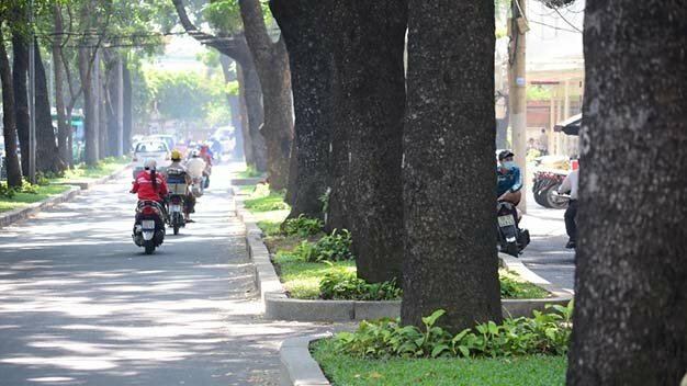 Sổ tay du lịch so tay du lich Sotaydulich Sotay Dulich Khampha Kham Pha Bui Xanh ngát hàng cây trăm tuổi Sài Gòn
