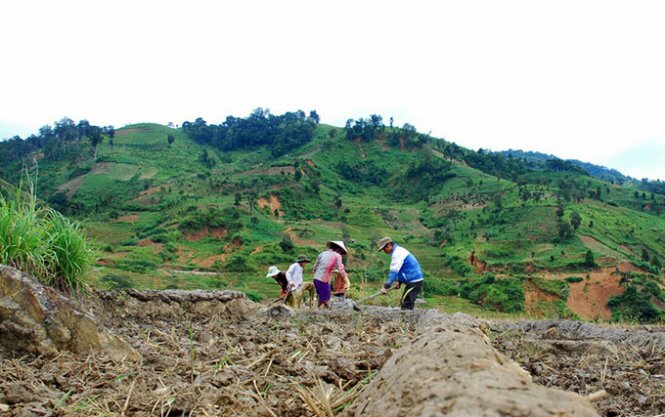 Sổ tay du lịch so tay du lich Sotaydulich Sotay Dulich Khampha Kham Pha Bui Một lần đến thung lũng sâm đắng