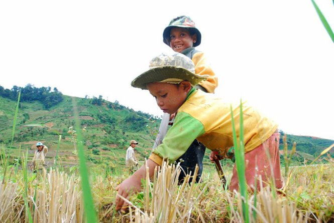 Sổ tay du lịch so tay du lich Sotaydulich Sotay Dulich Khampha Kham Pha Bui Một lần đến thung lũng sâm đắng