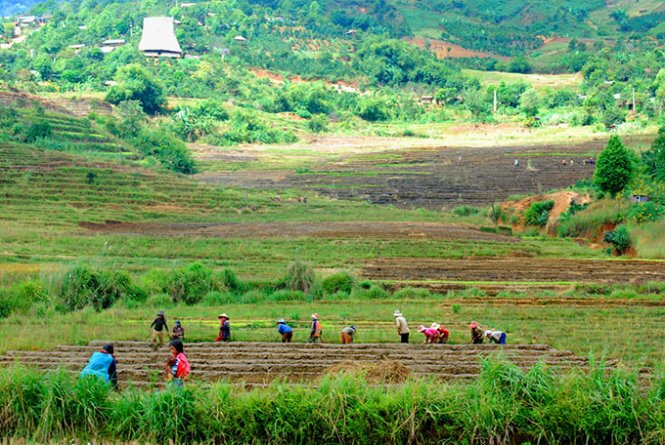 Sổ tay du lịch so tay du lich Sotaydulich Sotay Dulich Khampha Kham Pha Bui Một lần đến thung lũng sâm đắng