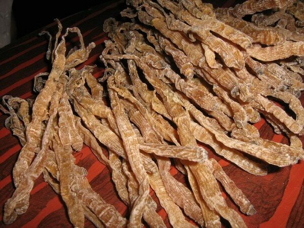 Sổ tay du lịch so tay du lich Sotaydulich Sotay Dulich Khampha Kham Pha Bui Những đặc sản biển có hình nhạy cảm được săn lùng
