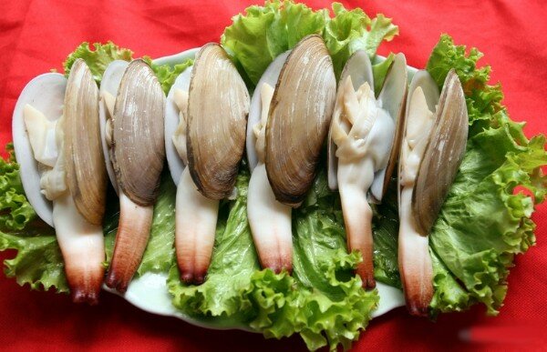 Sổ tay du lịch so tay du lich Sotaydulich Sotay Dulich Khampha Kham Pha Bui Những đặc sản biển có hình nhạy cảm được săn lùng