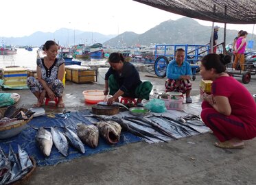Sổ tay du lịch so tay du lich Sotaydulich Sotay Dulich Khampha Kham Pha Bui Về Bình Ba ăn tôm hùm