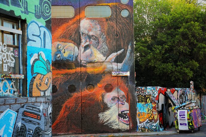 Sổ tay du lịch so tay du lich Sotaydulich Sotay Dulich Khampha Kham Pha Bui Ngắm graffiti ở Sydney