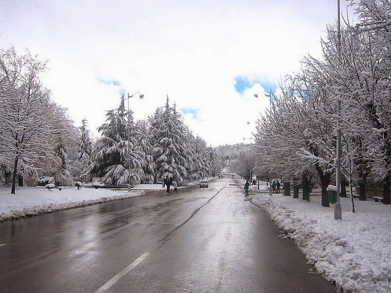 Sổ tay du lịch so tay du lich Sotaydulich Sotay Dulich Khampha Kham Pha Bui Ifrane - Một Thụy Sĩ giữa Ma Rốc