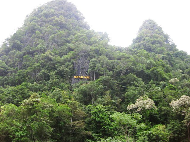 Sổ tay du lịch so tay du lich Sotaydulich Sotay Dulich Khampha Kham Pha Bui Về Pác Bó thăm nơi Bác Hồ đã từng sống
