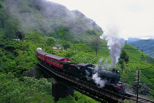 Sổ tay du lịch so tay du lich Sotaydulich Sotay Dulich Khampha Kham Pha Bui Làm du lịch với các thương hiệu trà danh tiếng