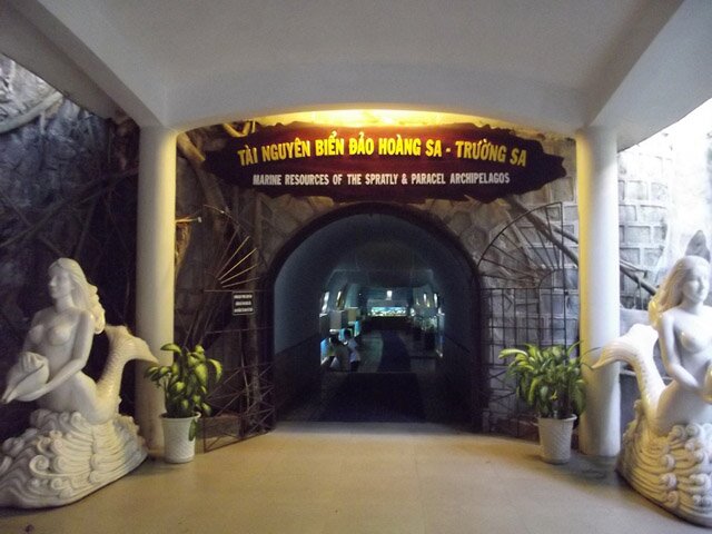 Sổ tay du lịch so tay du lich Sotaydulich Sotay Dulich Khampha Kham Pha Bui Thăm bảo tàng sinh vật biển lớn nhất Việt Nam