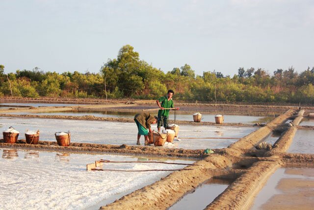 Sổ tay du lịch so tay du lich Sotaydulich Sotay Dulich Khampha Kham Pha Bui Về Cần Giờ thu hoạch muối cùng diêm dân
