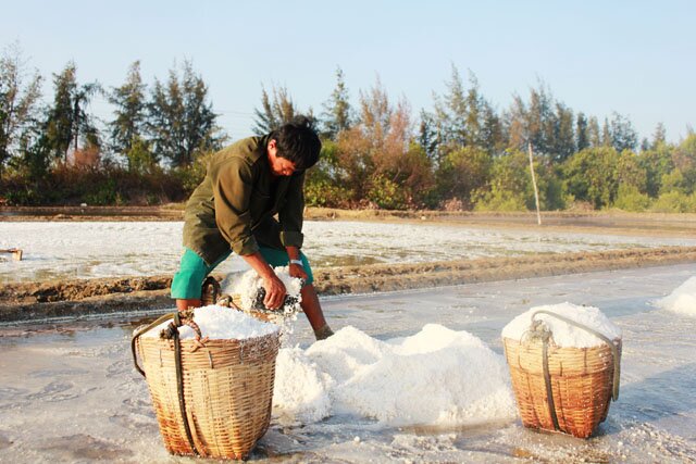 Sổ tay du lịch so tay du lich Sotaydulich Sotay Dulich Khampha Kham Pha Bui Về Cần Giờ thu hoạch muối cùng diêm dân