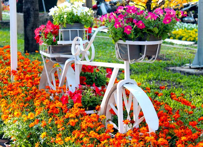 Sổ tay du lịch so tay du lich Sotaydulich Sotay Dulich Khampha Kham Pha Bui Đường hoa Tết Sài Gòn rực rỡ trước giờ khai mạc