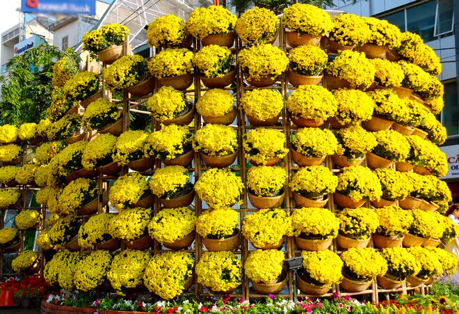 Sổ tay du lịch so tay du lich Sotaydulich Sotay Dulich Khampha Kham Pha Bui Đường hoa Tết Sài Gòn rực rỡ trước giờ khai mạc