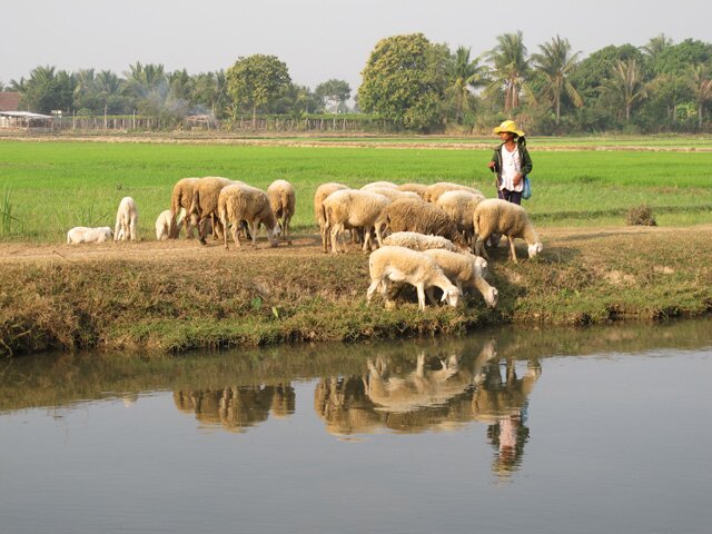 Sổ tay du lịch so tay du lich Sotaydulich Sotay Dulich Khampha Kham Pha Bui Du xuân khám phá cung đường biển Việt bằng xe máy