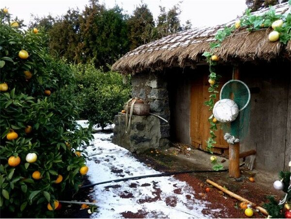 Sổ tay du lịch so tay du lich Sotaydulich Sotay Dulich Khampha Kham Pha Bui Nhũng địa điểm thú vị trên đảo Jeju