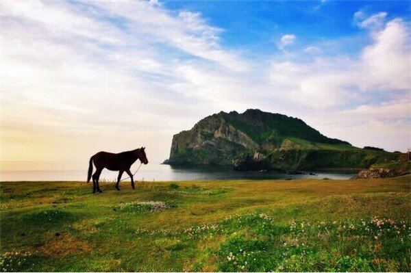 Sổ tay du lịch so tay du lich Sotaydulich Sotay Dulich Khampha Kham Pha Bui Nhũng địa điểm thú vị trên đảo Jeju