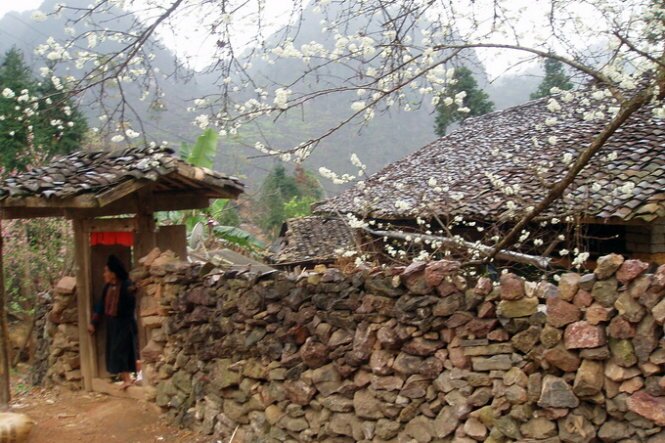 Sổ tay du lịch so tay du lich Sotaydulich Sotay Dulich Khampha Kham Pha Bui Chơi xuân trên cao nguyên đá Đồng Văn
