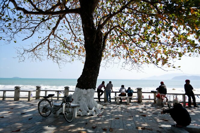 Sổ tay du lịch so tay du lich Sotaydulich Sotay Dulich Khampha Kham Pha Bui Nha Trang mùa cây bàng lá đỏ