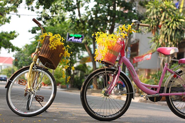 Sổ tay du lịch so tay du lich Sotaydulich Sotay Dulich Khampha Kham Pha Bui Sài Gòn mùa hoa bò cạp vàng