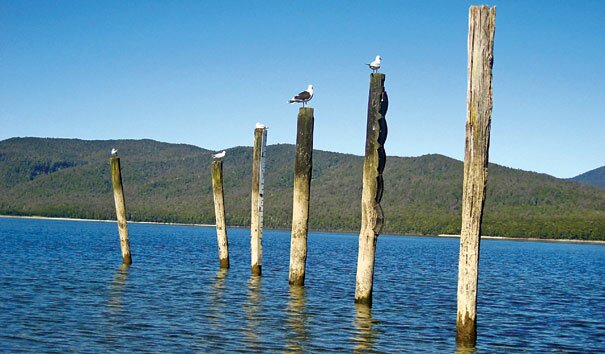 Sotaydulich Sotay Dulich Khampha Kham Pha Bui 5 diem kha pha o dao nam new zealand
