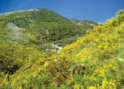 Sotaydulich Sotay Dulich Khampha Kham Pha Bui 5 diem kha pha o dao nam new zealand