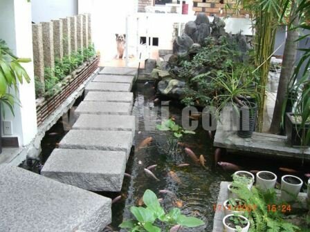 Sotaydulich Sotay Dulich Khampha Kham Pha Bui Phu Si