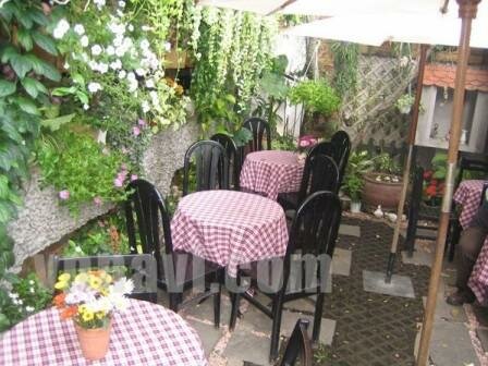 Sotaydulich Sotay Dulich Khampha Kham Pha Bui cafe Hinh nhu la...