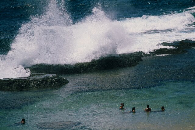  Sotaydulich Sotay Dulich Khampha Kham Pha Bui quan dao xanh Fernando de Noronha