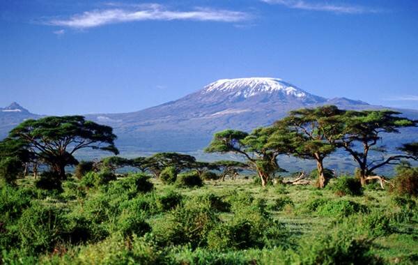 Sotaydulich Sotay Dulich Khampha Kham Pha Bui Kilimanjaro Nguoi khong lo cua Chau Phi