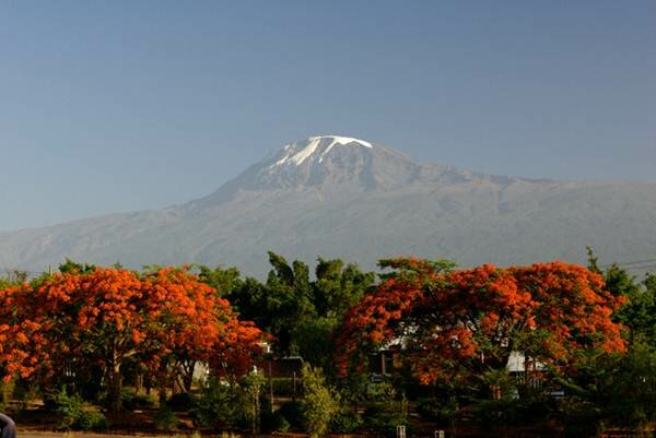 Sotaydulich Sotay Dulich Khampha Kham Pha Bui Kilimanjaro Nguoi khong lo cua Chau Phi