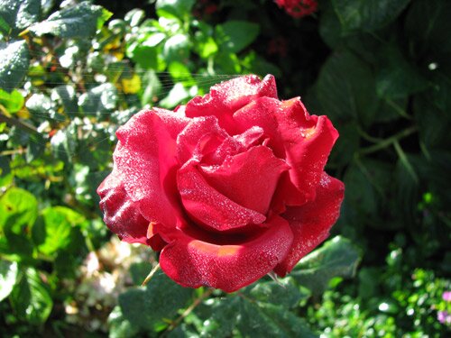 Sotaydulich Sotay Dulich Khampha Kham Pha Bui Kham pha tran D ran