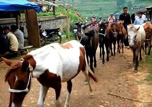 Sotaydulich Sotay Dulich Khampha Kham Pha Bui Phien cho bieng cuong
