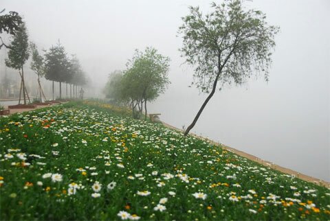Sotaydulich Sotay Dulich Khampha Kham Pha Bui Chuong trinh Tet Nguyen Dan Tour Ha Noi Sa Pa Yen Tu Ha Long