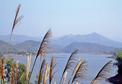 Sotaydulich Sotay Dulich Khampha Kham Pha Bui menh mang ho Cam Son