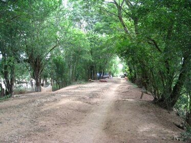 Sotaydulich Sotay Dulich Khampha Kham Pha Bui Net duyen bung Binh Thien