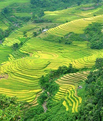 Sotaydulich Sotay Dulich Khampha Kham Pha Bui Ve ky thu noi con song Hong chay vao dat Viet