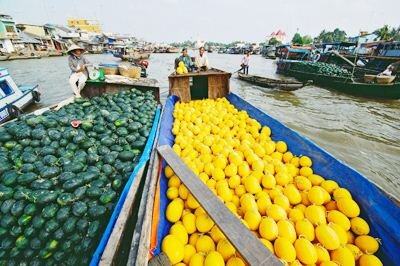  Sotaydulich Sotay Dulich Khampha Kham Pha Bui chuong trinh tet nguyen dan xuan ve tren vung cuc nam to quoc cai be vinh long can tho bac lieu ca mau