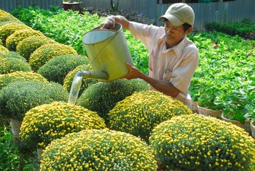 Sotaydulich Sotay Dulich Khampha Kham Pha Bui Ve Sa Dec hit tho sac xuan