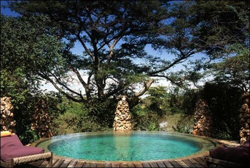 Sotaydulich Sotay Dulich Khampha Kham Pha Bui Kham pha Tanzania