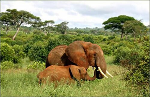 Sotaydulich Sotay Dulich Khampha Kham Pha Bui Kham pha Tanzania