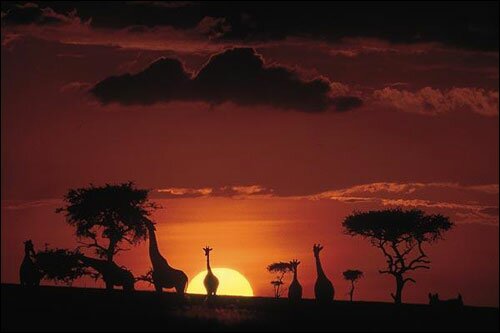 Sotaydulich Sotay Dulich Khampha Kham Pha Bui Kham pha Tanzania
