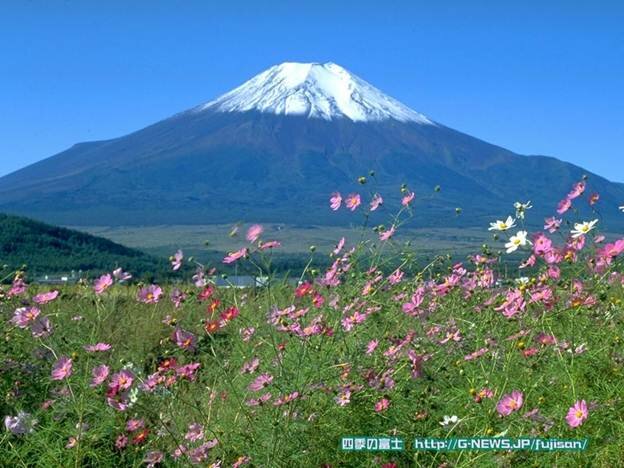  Sotaydulich Sotay Dulich Khampha Kham Pha Bui Tour Tokyo Nui Phu Si Nagoya Kyoto