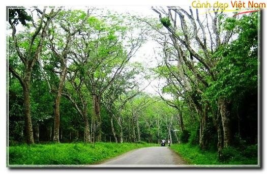 Sotaydulich Sotay Dulich Khampha Kham Pha Bui Dung chan tai Cuc Phuong