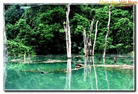 Sotaydulich Sotay Dulich Khampha Kham Pha Bui Dung chan tai Cuc Phuong