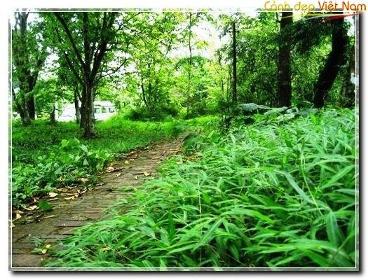Sotaydulich Sotay Dulich Khampha Kham Pha Bui Dung chan tai Cuc Phuong