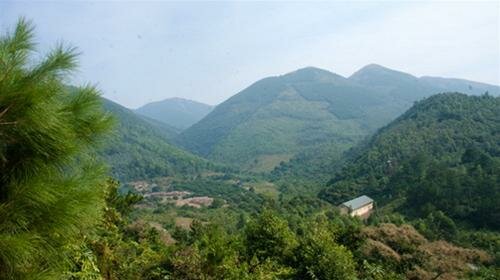 Sotaydulich Sotay Dulich Khampha Kham Pha Bui Xanh mat Vuc Rieu