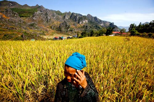 Sotaydulich Sotay Dulich Khampha Kham Pha Bui Lang dang Ha Giang trong may
