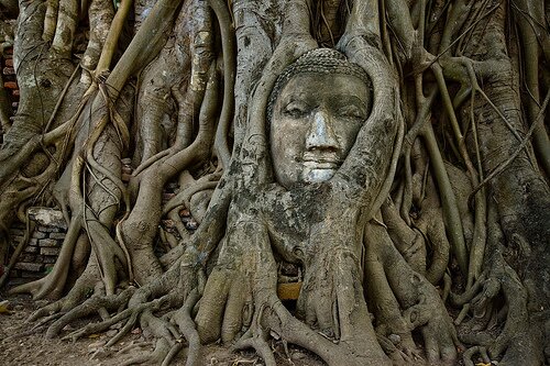 Sotaydulich Sotay Dulich Khampha Kham Pha Bui Nhung buc tuong Phat noi tieng the gioi