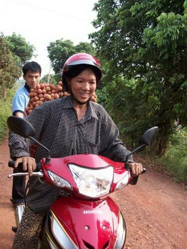 Sotaydulich Sotay Dulich Khampha Kham Pha Bui Luc ngan mua vai chin
